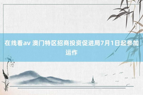 在线看av 澳门特区招商投资促进局7月1日起参加运作