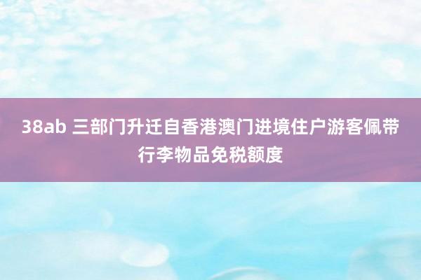 38ab 三部门升迁自香港澳门进境住户游客佩带行李物品免税额度