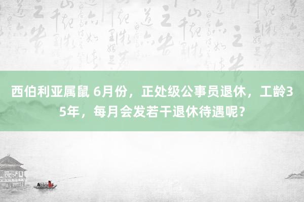 西伯利亚属鼠 6月份，正处级公事员退休，工龄35年，每月会发若干退休待遇呢？