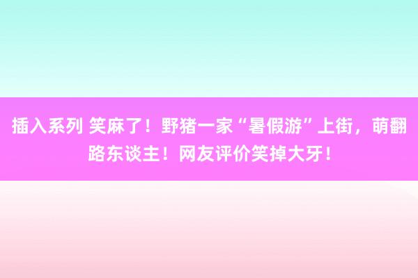 插入系列 笑麻了！野猪一家“暑假游”上街，萌翻路东谈主！网友评价笑掉大牙！