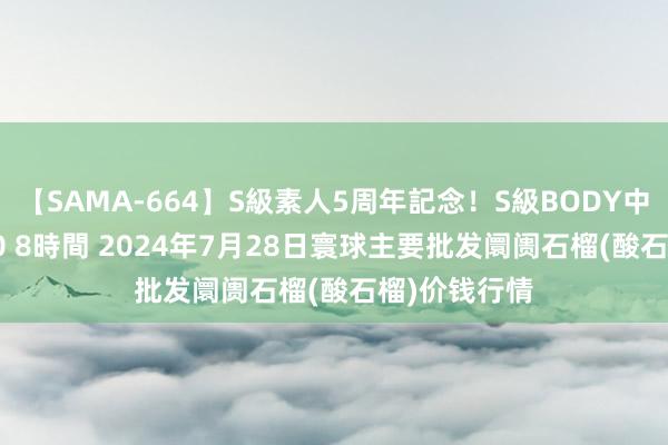 【SAMA-664】S級素人5周年記念！S級BODY中出しBEST30 8時間 2024年7月28日寰球主要批发阛阓石榴(酸石榴)价钱行情