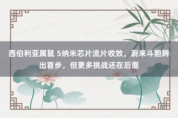 西伯利亚属鼠 5纳米芯片流片收效，蔚来斗胆跨出首步，但更多挑战还在后面