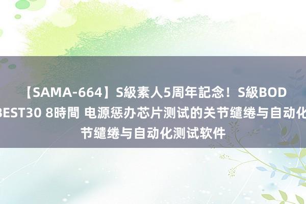 【SAMA-664】S級素人5周年記念！S級BODY中出しBEST30 8時間 电源惩办芯片测试的关节缱绻与自动化测试软件