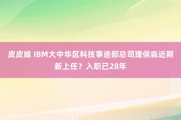 皮皮娘 IBM大中华区科技事迹部总司理侯淼近期新上任？入职已28年