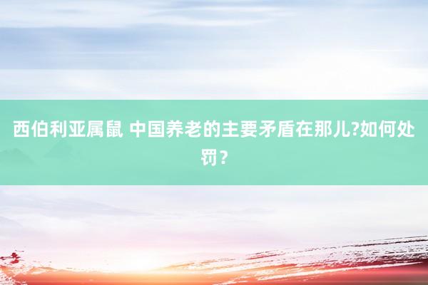 西伯利亚属鼠 中国养老的主要矛盾在那儿?如何处罚？