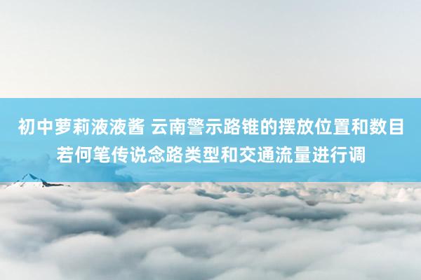 初中萝莉液液酱 云南警示路锥的摆放位置和数目若何笔传说念路类型和交通流量进行调