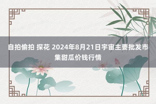 自拍偷拍 探花 2024年8月21日宇宙主要批发市集甜瓜价钱行情