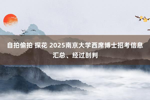 自拍偷拍 探花 2025南京大学西席博士招考信息汇总、经过剖判