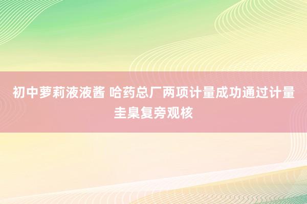 初中萝莉液液酱 哈药总厂两项计量成功通过计量圭臬复旁观核