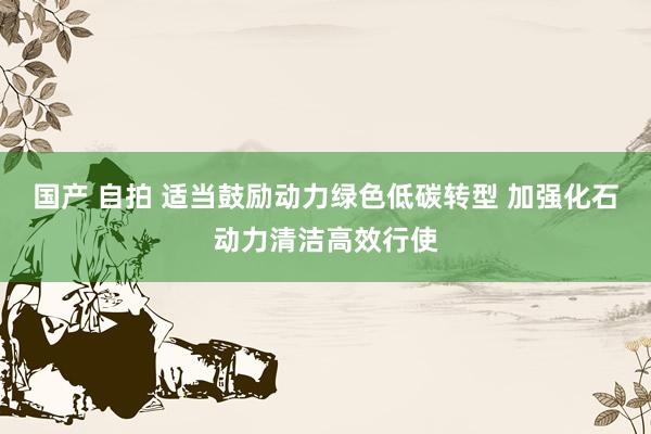 国产 自拍 适当鼓励动力绿色低碳转型 加强化石动力清洁高效行使