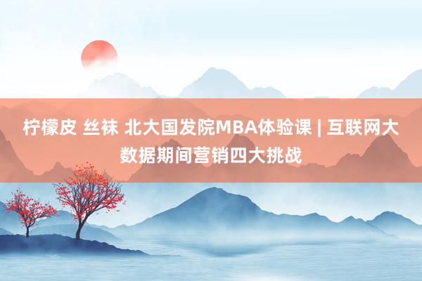 柠檬皮 丝袜 北大国发院MBA体验课 | 互联网大数据期间营销四大挑战