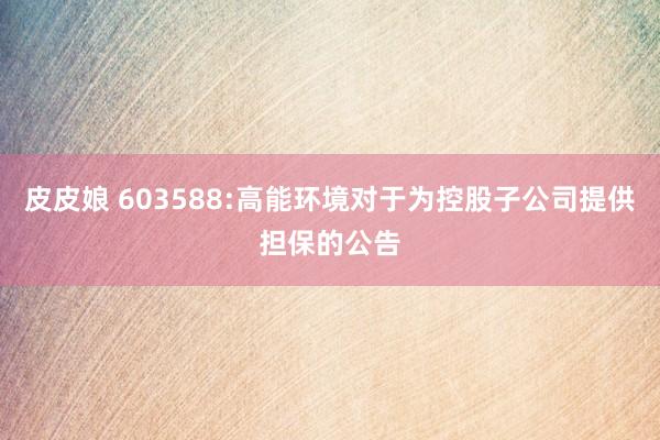 皮皮娘 603588:高能环境对于为控股子公司提供担保的公告