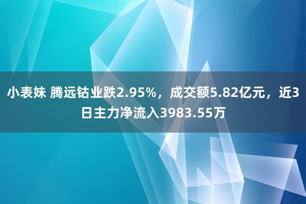 小表妹 腾远钴业跌2.95%，成交额5.82亿元，近3日主力净流入3983.55万