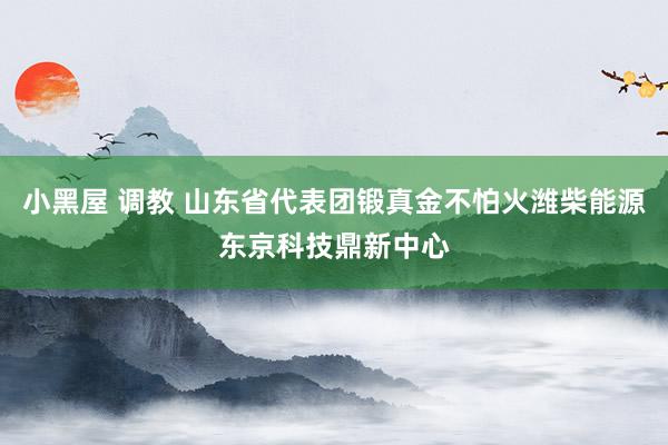 小黑屋 调教 山东省代表团锻真金不怕火潍柴能源东京科技鼎新中心