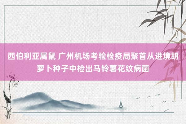 西伯利亚属鼠 广州机场考验检疫局聚首从进境胡萝卜种子中检出马铃薯花纹病菌